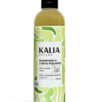 Shampoing ortie cheveux afro
